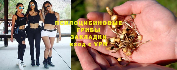 бошки Армянск